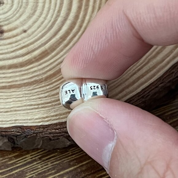 Pandora Sanatoga NY Exclusive Heart Charm - Picture 4 of 4